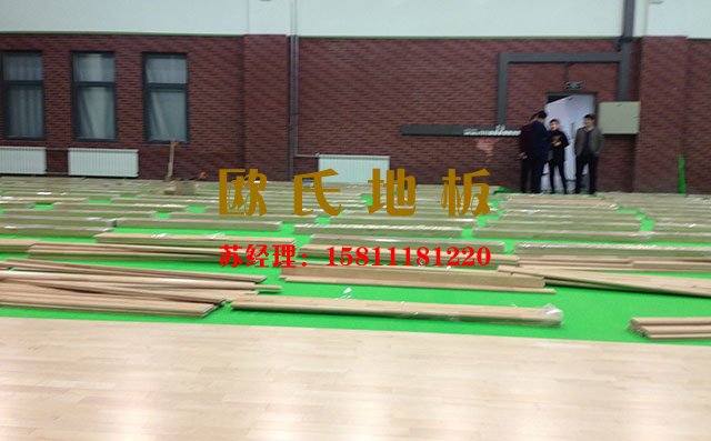 柞木、楓木與楓樺木應用到體育場館哪種較好呢——歐氏地板