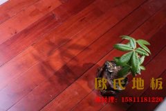 我們真正了解羽毛球運(yùn)動木地板嗎，知道它的優(yōu)勢在哪嗎